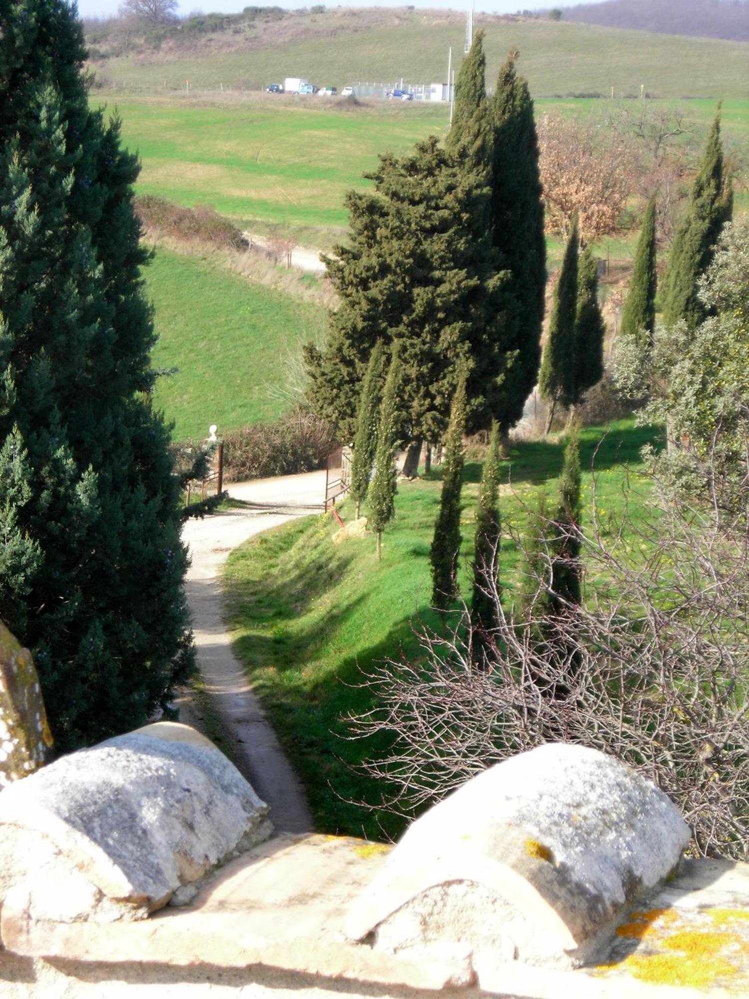 Agriturismo Il Cocco Montalcino Kültér fotó