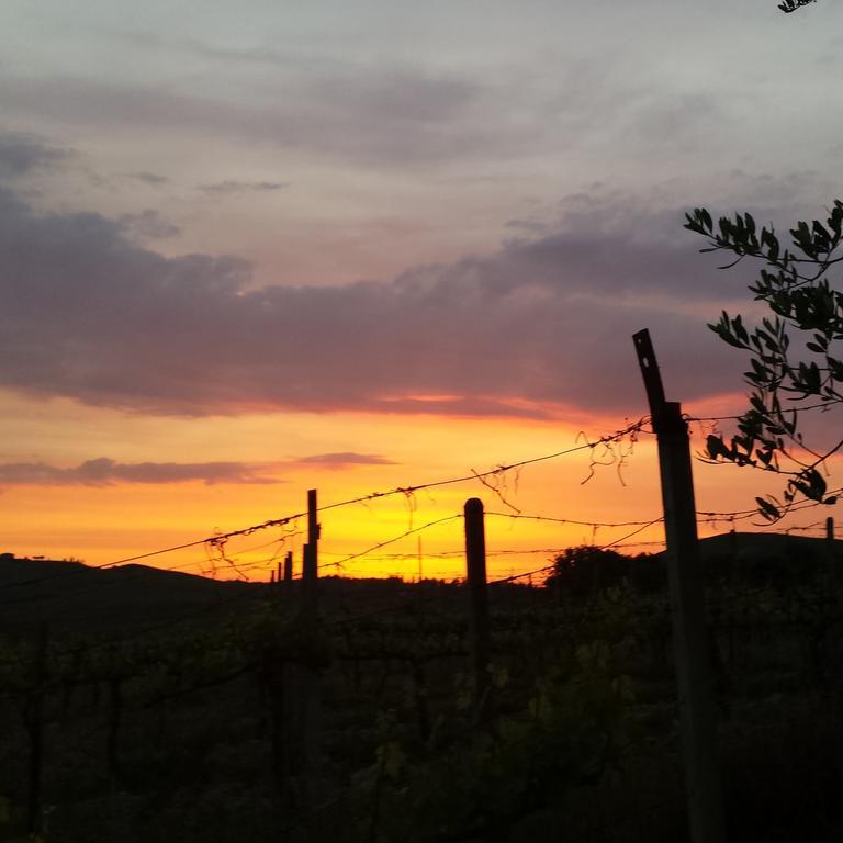 Agriturismo Il Cocco Montalcino Kültér fotó