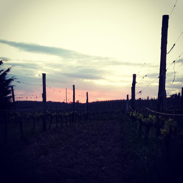 Agriturismo Il Cocco Montalcino Kültér fotó