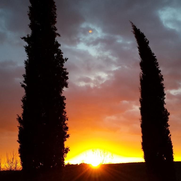 Agriturismo Il Cocco Montalcino Kültér fotó
