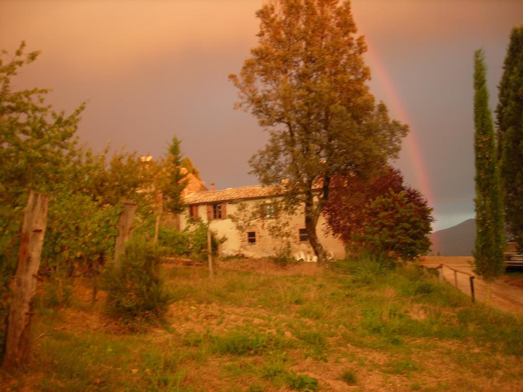 Agriturismo Il Cocco Montalcino Kültér fotó