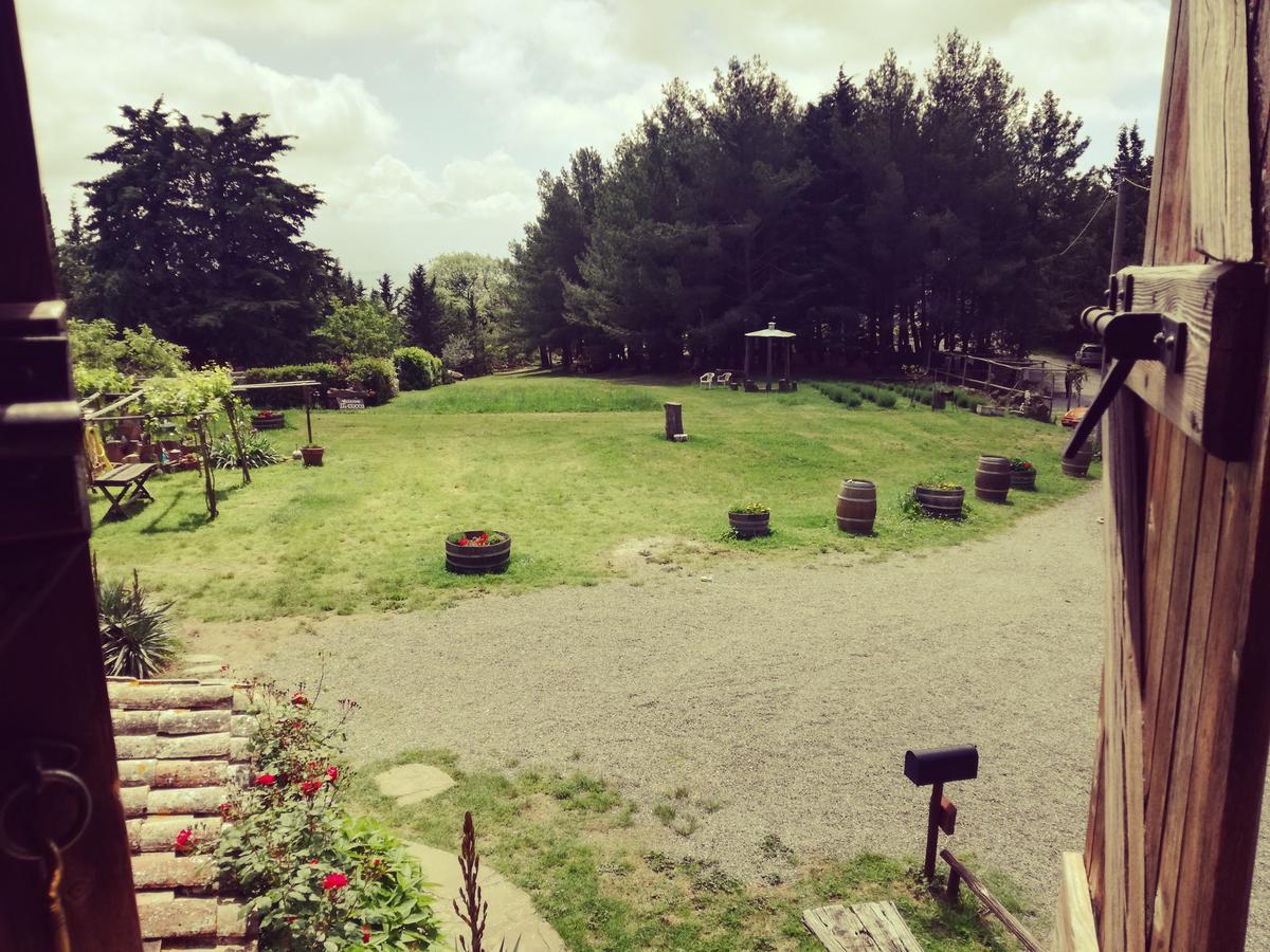 Agriturismo Il Cocco Montalcino Kültér fotó