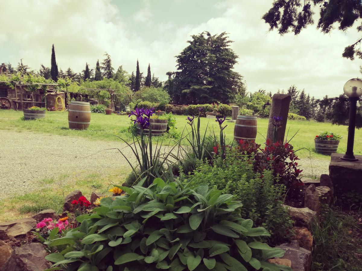 Agriturismo Il Cocco Montalcino Kültér fotó